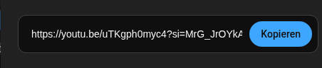 Copy video URL